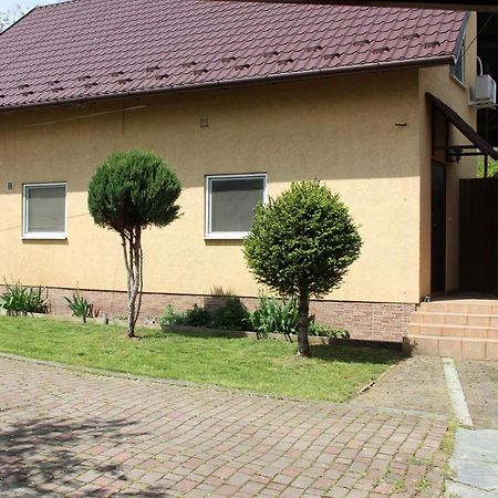 Роман Berehove (Transcarpathia) Exterior foto
