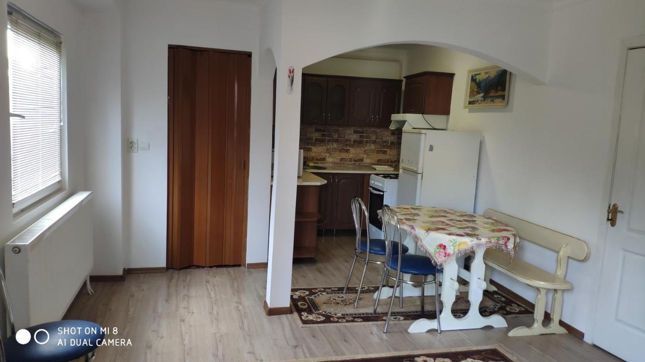Роман Berehove (Transcarpathia) Exterior foto