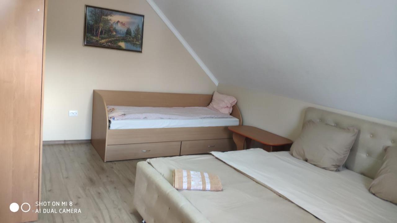 Роман Berehove (Transcarpathia) Exterior foto