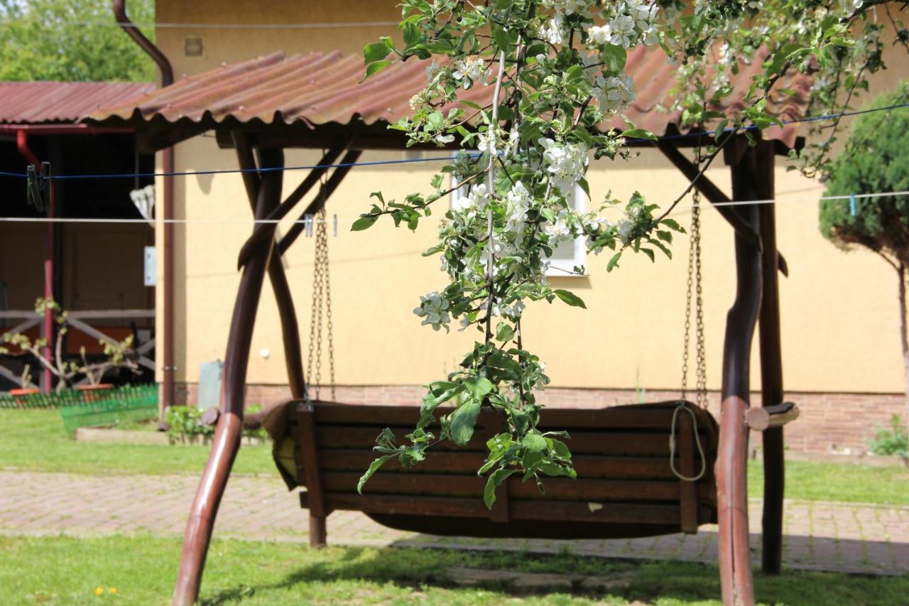 Роман Berehove (Transcarpathia) Exterior foto